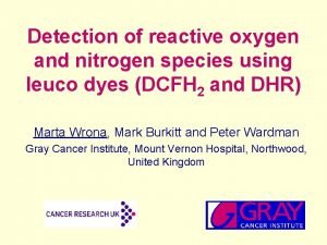 Detection of reactive oxygen and nitrogen species using