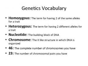 Genetics vocab