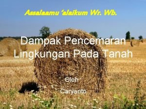 Assalaamu alaikum Wr Wb Dampak Pencemaran Lingkungan Pada