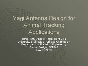 Yagi animal