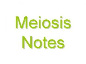 Mitosis and meiosis notes