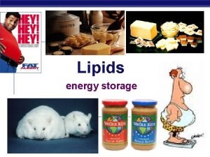 Examples of lipids