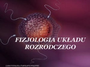 FIZJOLOGIA UKADU ROZRODCZEGO LIANA PUCHALSKA STANISAW KOWALEWSKI UKAD