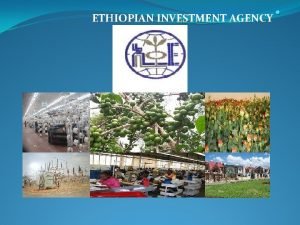 Ethiopian investment agency