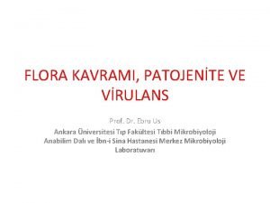 FLORA KAVRAMI PATOJENTE VE VRULANS Prof Dr Ebru