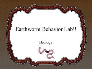 Earthworm behavior lab