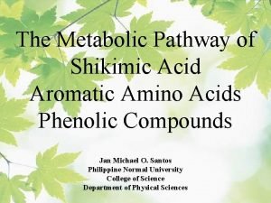 Shikimic acid pathway