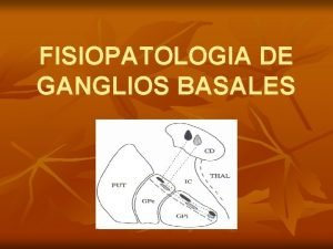 Ganglios basales fisiologia