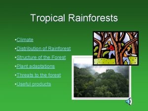 Tropical rainforest gersmehl model