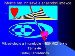 Infekce ran hnisav a anaerobn infekce Mikrobiologie a