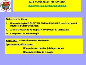 SZTE NVNYLETTANI TANSZK http www sci uszeged huplantphys