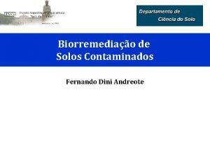 Biorremediao de Solos Contaminados Fernando Dini Andreote Mineralizao