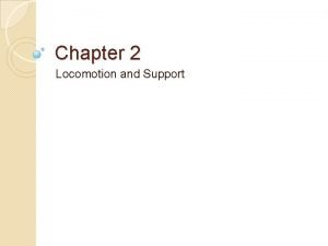 Locomotion and support