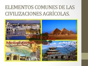 Elementos comunes de las civilizaciones agricolas