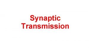 Synaptic Transmission Functional anatomy As many as 10