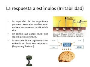 Capacidad