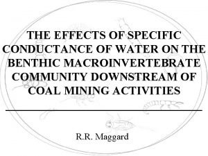 THE EFFECTS OF SPECIFIC CONDUCTANCE OF WATER ON