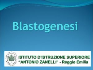 Blastogenesi LA FECONDAZIONE lincontro dello spermatozoo con lovulo