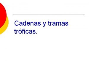 Cadena alimenticia