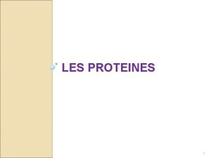 LES PROTEINES 1 Plan Dfinition Caractristiques des protines