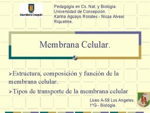 Oligosacaridos en la membrana celular