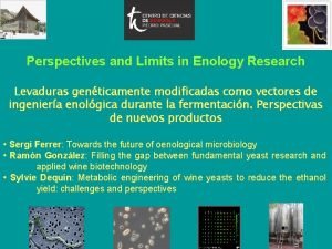 Perspectives and Limits in Enology Research Levaduras genticamente