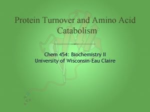 Protein Turnover and Amino Acid Catabolism Chem 454