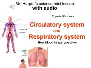 Mr Harpers science mini lesson with audio 5