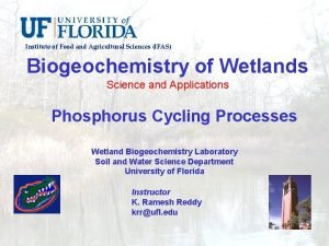 Institute of Food and Agricultural Sciences IFAS Biogeochemistry