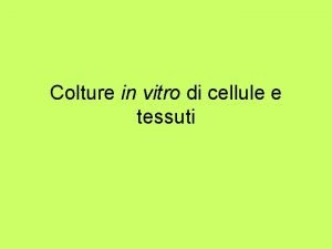 Colture in vitro di cellule e tessuti Le