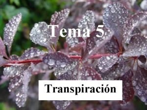 Tema 5 Transpiracin Objetivo n Comprender que la