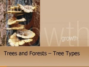 Trees and Forests Tree Types Tree Types n