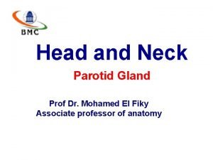 Parotid gland vascular supply