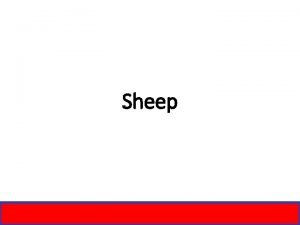 Labeling an ewe