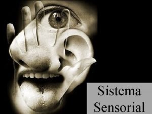 Sistema Sensorial Paladar Tambm conhecido como GUSTAO O