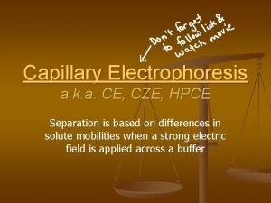 Capillary Electrophoresis a k a CE CZE HPCE