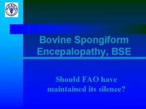 Bovine Spongiform Encepalopathy BSE Should FAO have maintained