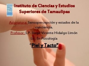Instituto de Ciencias y Estudios Superiores de Tamaulipas