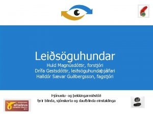 Leisguhundar Huld Magnsdttir forstjri Drfa Gestsdttir leisguhundajlfari Halldr