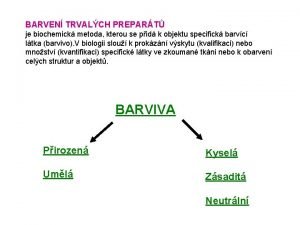 BARVEN TRVALCH PREPART je biochemick metoda kterou se