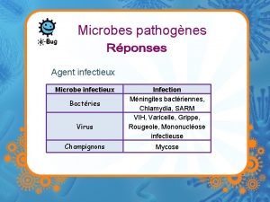 Microbes pathognes Agent infectieux Microbe infectieux Bactries Virus