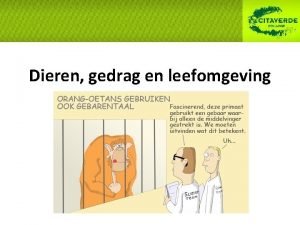 Dieren gedrag en leefomgeving Leefomgeving Aard van het