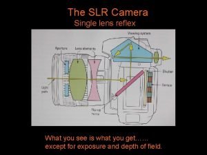 The SLR Camera Single lens reflex What you