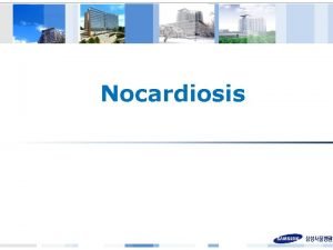 Nocardiosis NOCARDIA SPECIES Nocardia Aerobic Grampositive bacilli of