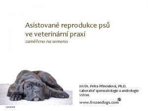 Asistovan reprodukce ps ve veterinrn praxi zameno na Asistovan reprodukce ps ve veterinrn praxi zameno na
