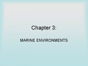 Hadalpelagic zone