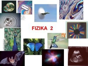 Fizika