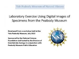 Laboratory Exercise Using Digital Images of Specimens from