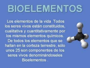 Cuales son los bioelementos primarios en la tabla periodica