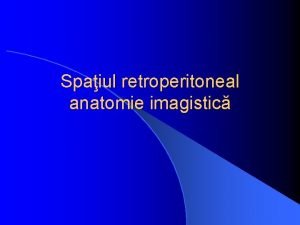 Spaiul retroperitoneal anatomie imagistic Spaiul retroperitoneal l Limite